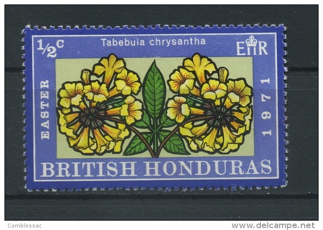 BRITISH  HONDURAS    1971    1/2c   Tobebuia      MNH - Honduras Britannique (...-1970)