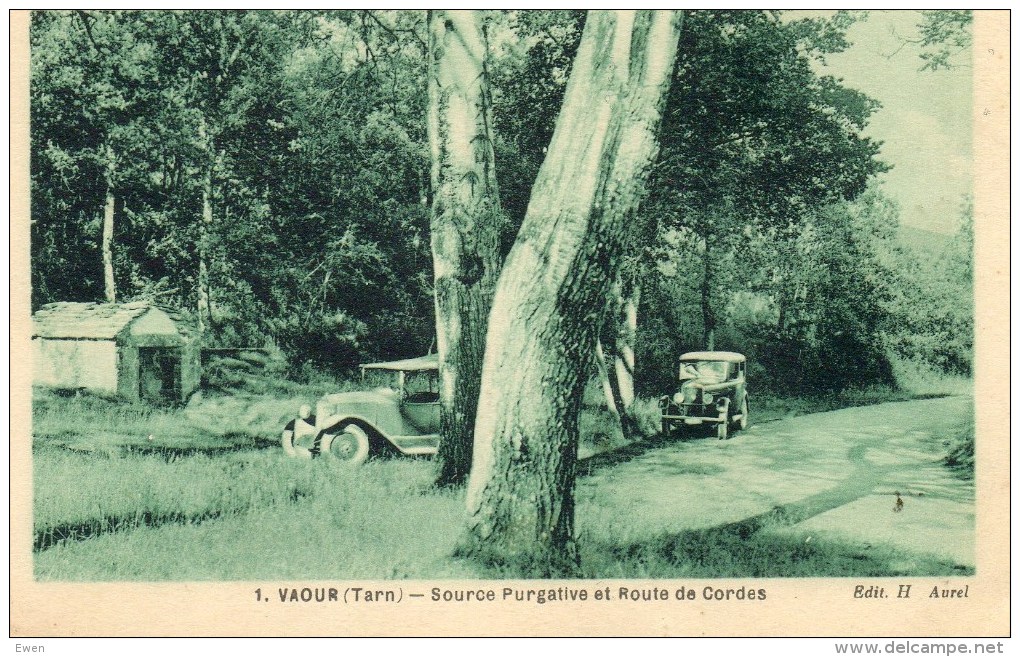 Vaour. Source Purgative Et Route De Cordes. - Vaour