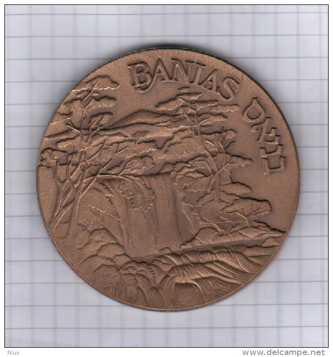 Israel Medal, Banias, Jordan River - Other & Unclassified