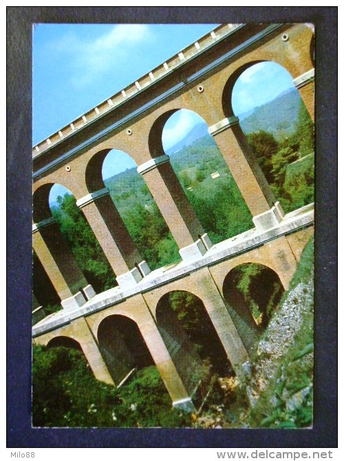 MOLISE -ISERNIA -F.G. LOTTO N°478 - Isernia