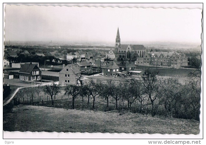 PAMEL  Panorama - Roosdaal