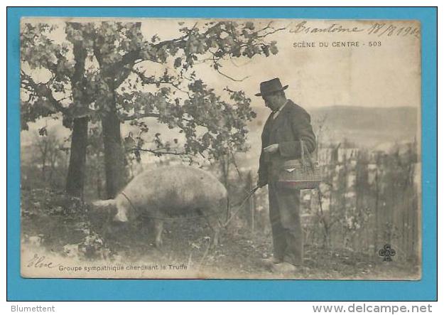 CPA 503 Scène Du Centre - Groupe Sympathique Cherchant La Truffe - Cochon Truie Truffière - Sonstige & Ohne Zuordnung