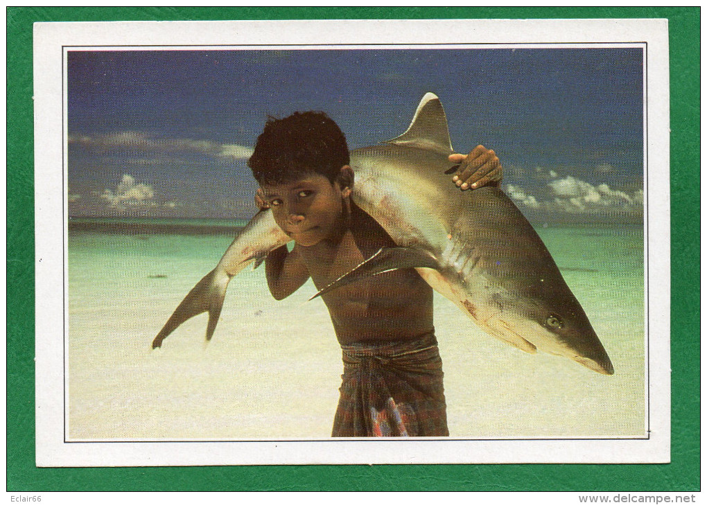 Maldives   Un Enfant Portant Sur Le Dos Un Requin à Pointe Blanche, CPM  TBE Partie Verso Explications - Maldives