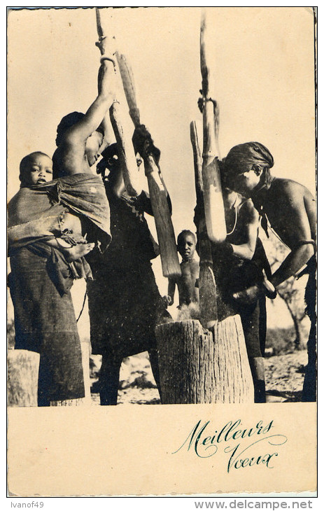 AFRIQUE OCCIDENTALE - Carte PHOTO - Femmes Brisant Les épis De Mil - Non Classés