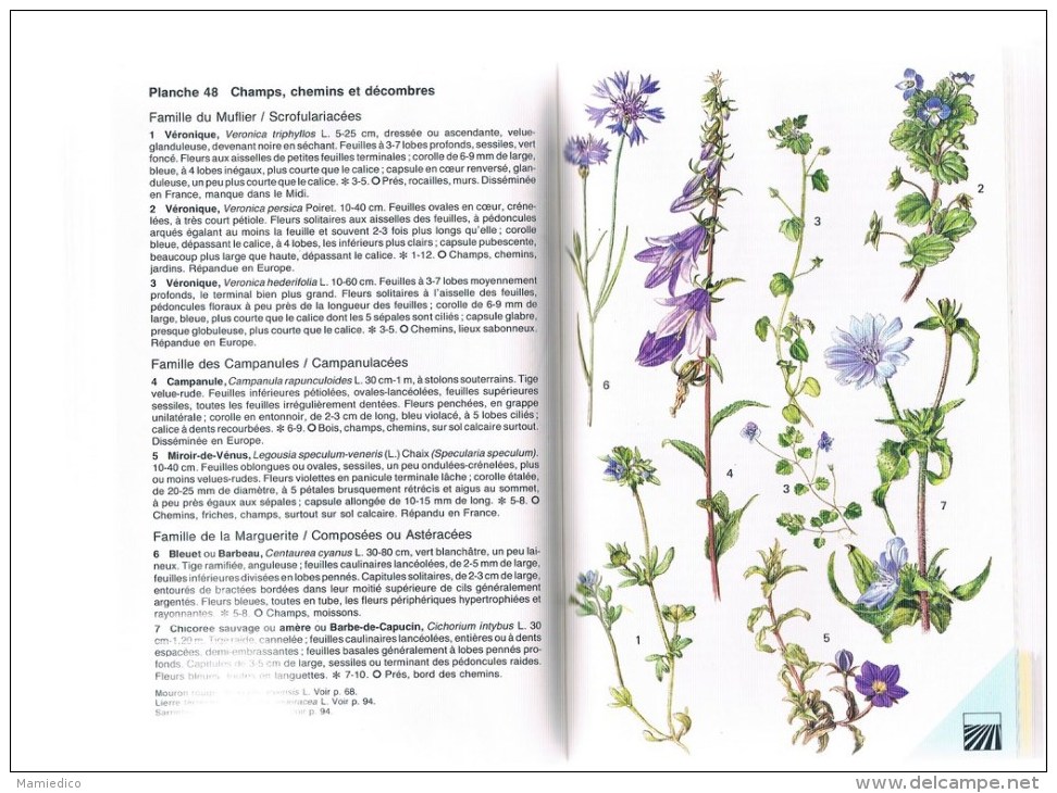 1984 Le Multiguide Des " Plantes Sauvages De Nos Bois Et Campagnes" Classés Par Couleurs 224 Pages - Autres & Non Classés