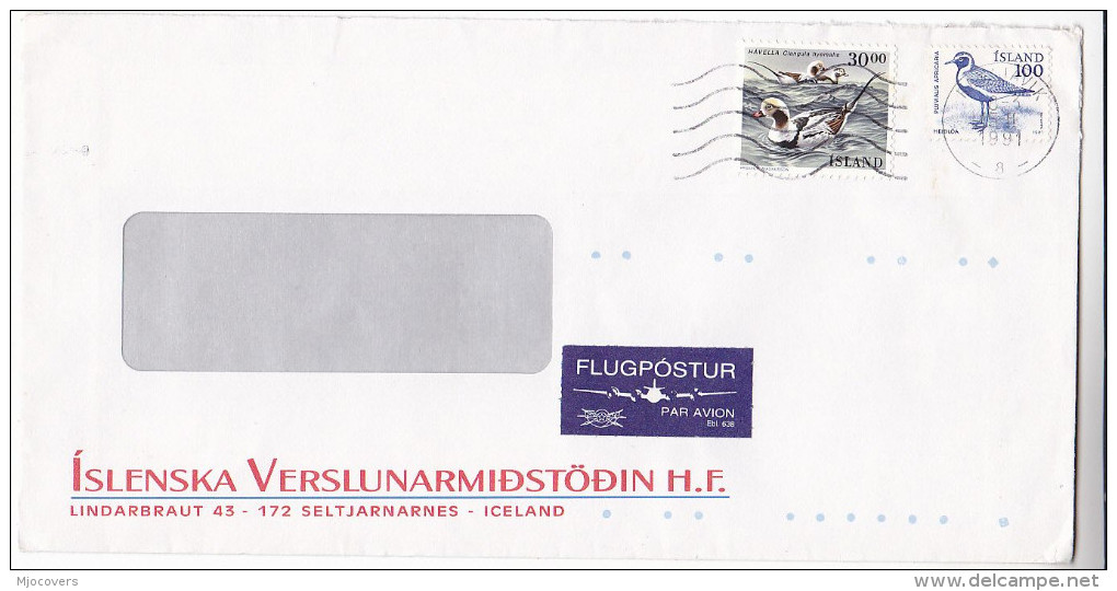 1991 Airmail ICELAND COVER 30.00, 100, BIRD Stamps Birds - Other & Unclassified