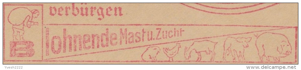 Allemagne 1935. Empreinte De Machine à Affranchir Komusina. Produits Chimiques. Lapin, Coq, Chèvre, Mouton, Cochon - Lapins