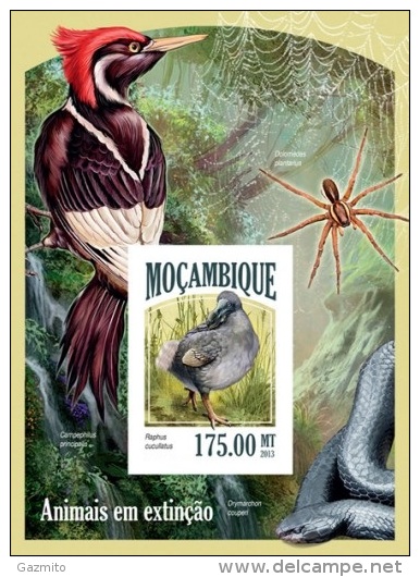 Mozambico 2013, Animal In Danger, Birds, Spider, Snake, BF IMPERFORATED - Spinnen