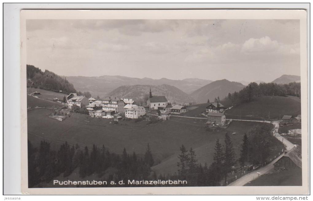 AK - Puchenstuben A. D. Mariazellerbahn - 1950 - Scheibbs