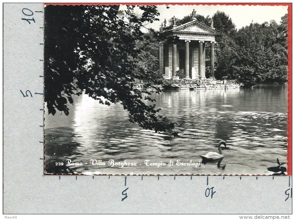 CARTOLINA VG ITALIA - ROMA - Villa Borghese - Tempio Di Esculapio - 10 X 15 - ANNULLO 1957 - Parks & Gardens