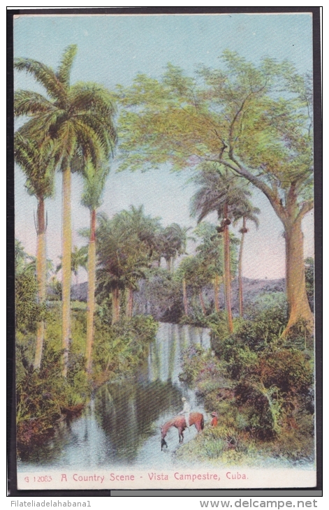 POS-116 CUBA CIRCA 1920 POSTCARD COUNTRY SCENE IN RIVER. PAISAJE CAMPESTRE CON RIO. UNUSED - Cuba