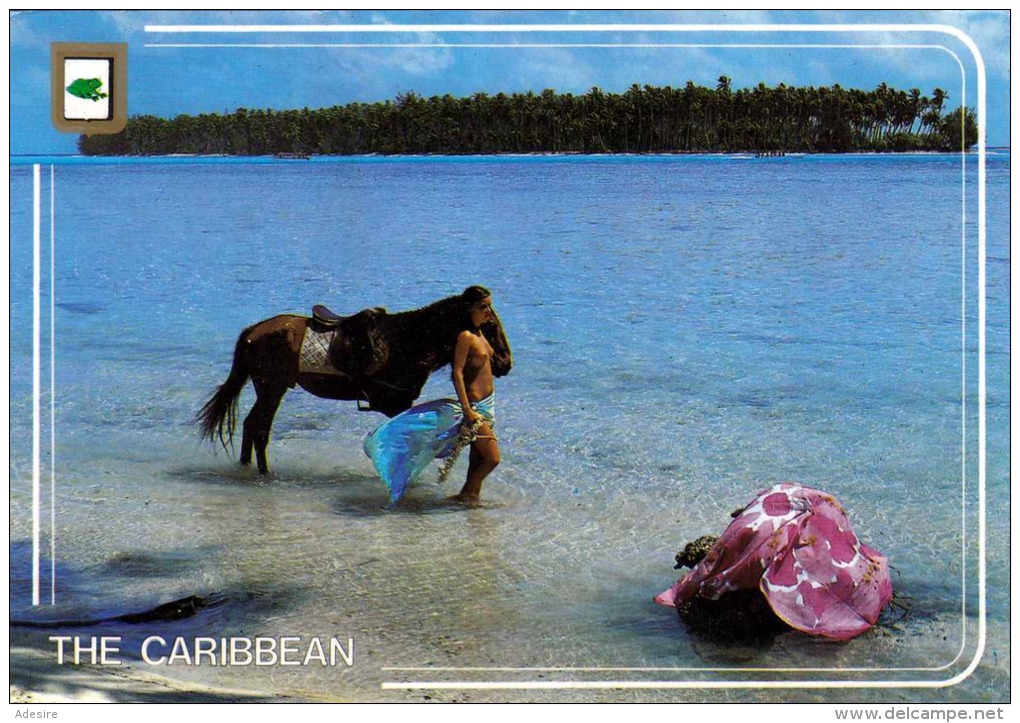 ANTIGUA Und BARBUDA (Antillen) - Schöne Junge Frau Oben Ohne Mit Pferd Im Meer, Gel.m.Sondermarke - Antigua & Barbuda