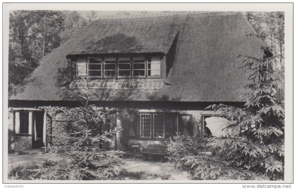 Huize De Beuk   Tongeren Epe       Nr 5491 - Tongeren