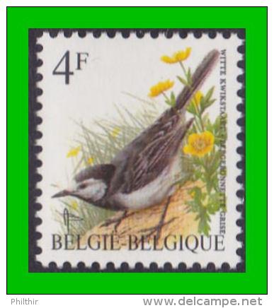 BUZIN - 2474** Bergeronnette Grise / Witte Kwikstaart - FLUO - 1985-.. Birds (Buzin)