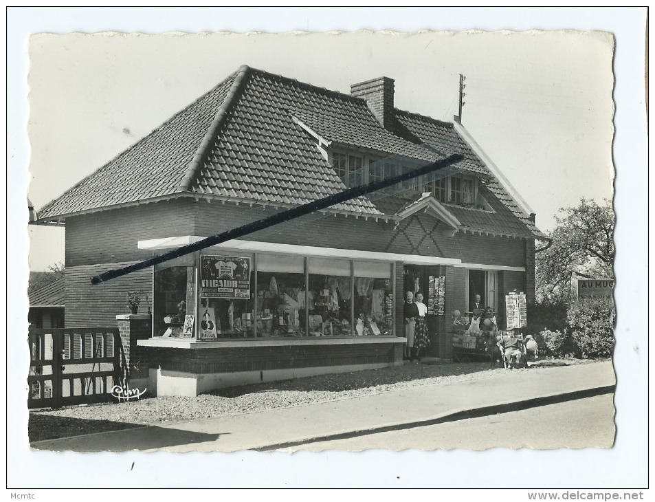 CPM  -  Criel Sur Mer  "Au Muguet "  - Nouveautés 147 Rue De La Libération - Criel Sur Mer