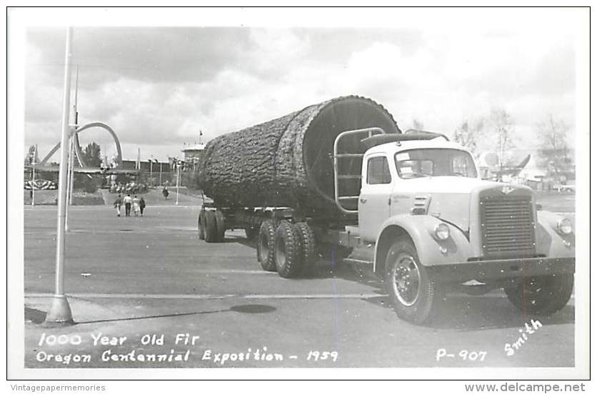 257343-Oregon, Portland, RPPC, Oregon Centennial Exposition 1959, 1000 Year Old Fir, Smith Photo No P-907 - Portland