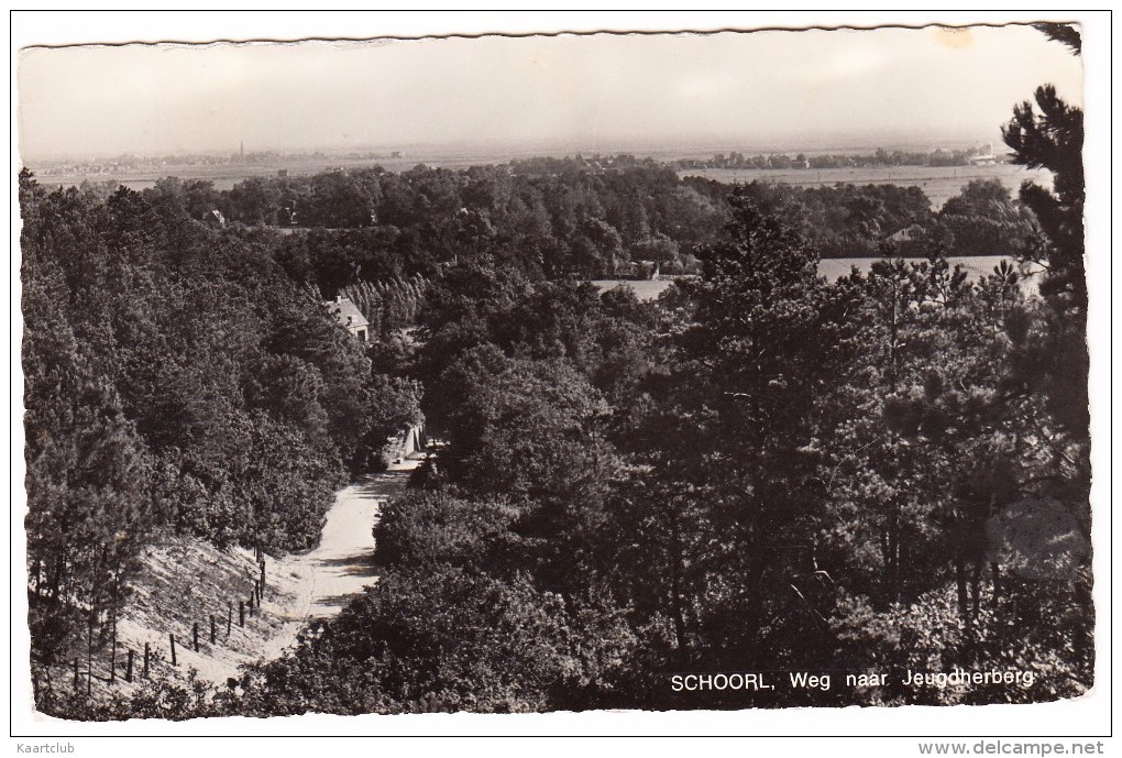 Schoorl - Weg Naar De Jeugdherberg - Noord-Holland - Nederland - Schoorl