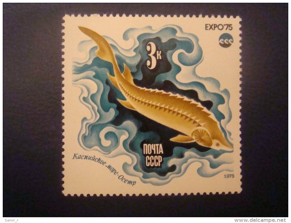 1975 Russia USSR  Fishes - Neufs