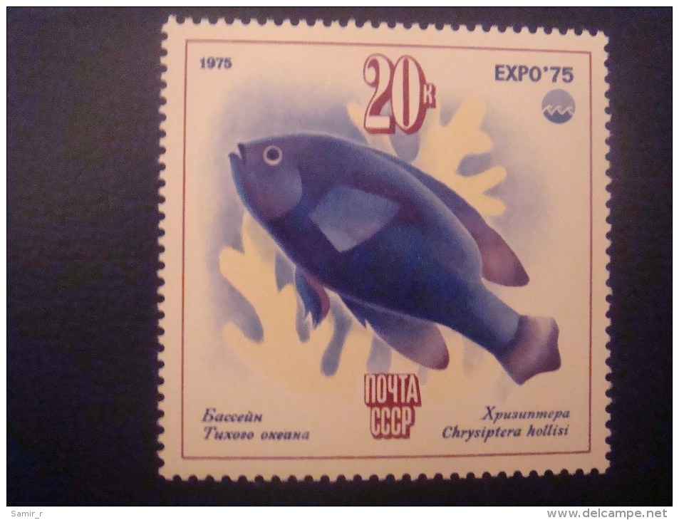 1975 Russia USSR  Fishes - Neufs