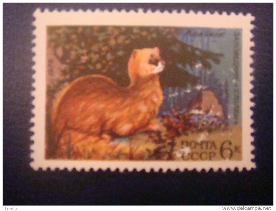 1975 Russia USSR Animals - Neufs