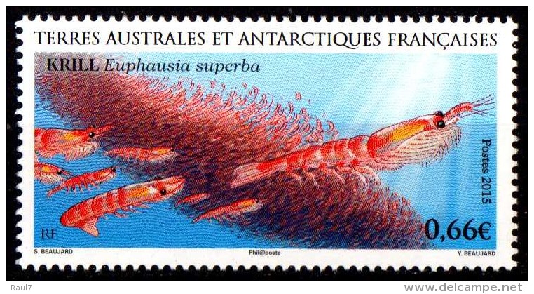 T.A.A.F. // F.S.A.T. 2015 - Faune Marine, Krill  - 1 Val Neufs // Mnh - Nuevos