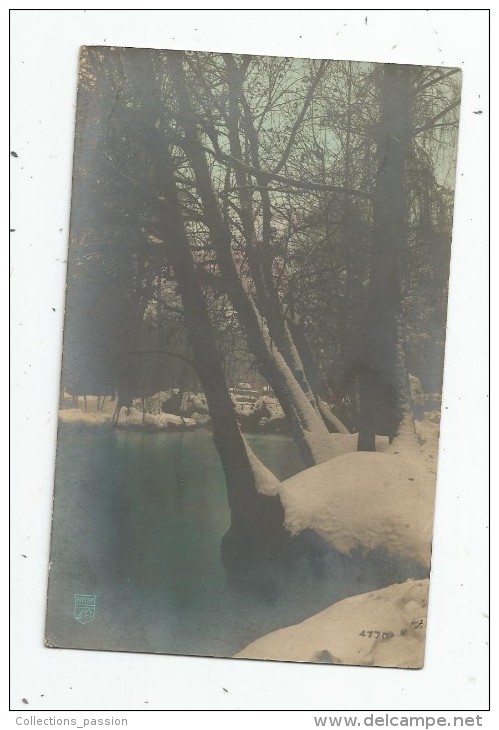 Cp , Arbres , Ed : NRM 4770 , Voyagée 1908 - Alberi