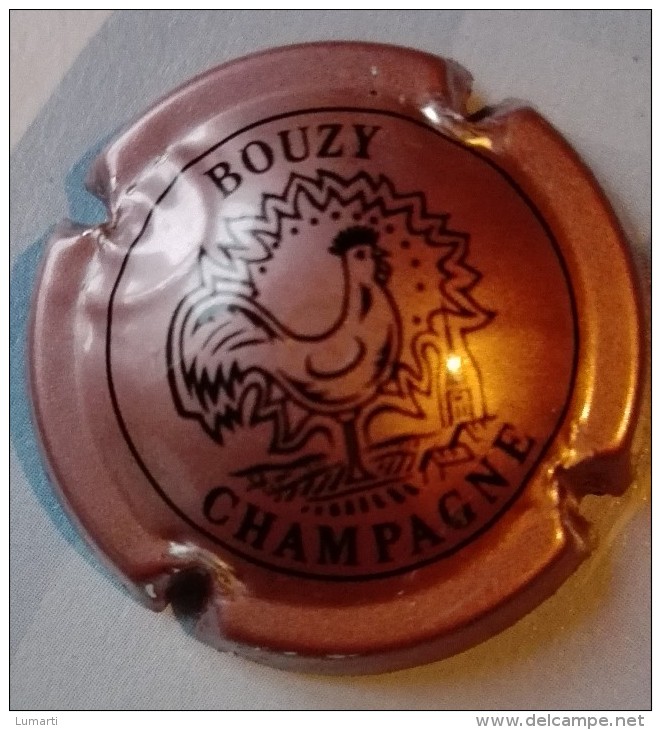 Capsule De Champagne - Bouzy - Inscription Noire - N°17 - Rosé - Autres & Non Classés