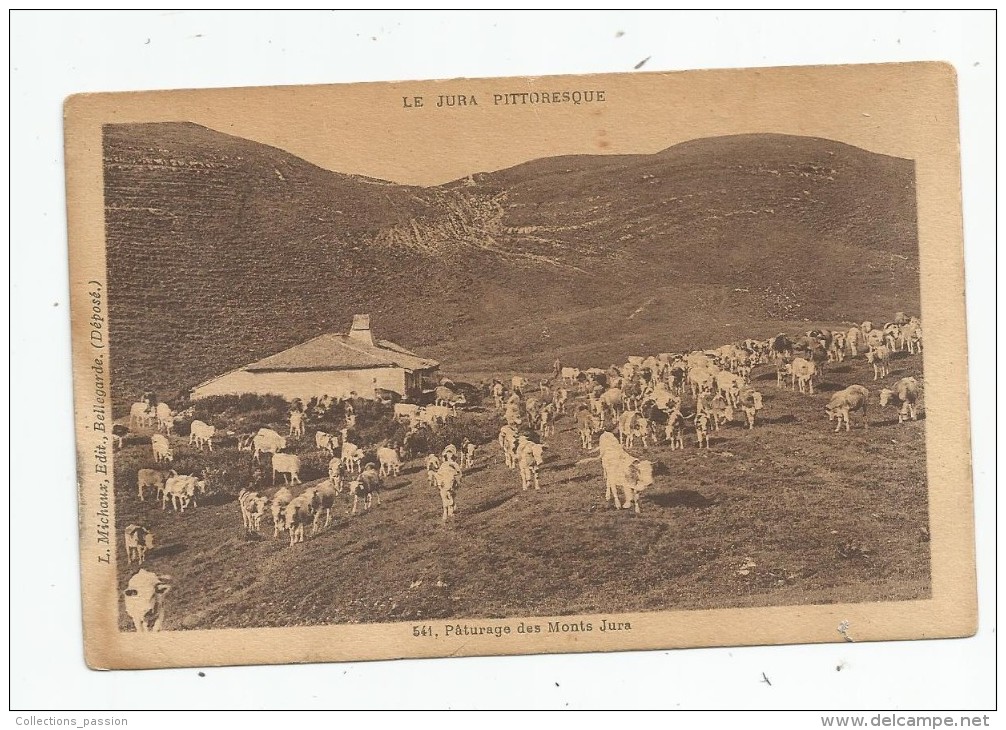 Cp , Animaux , Vaches , Le JURA , Pâturage Des MONTS JURA , Vierge - Vaches