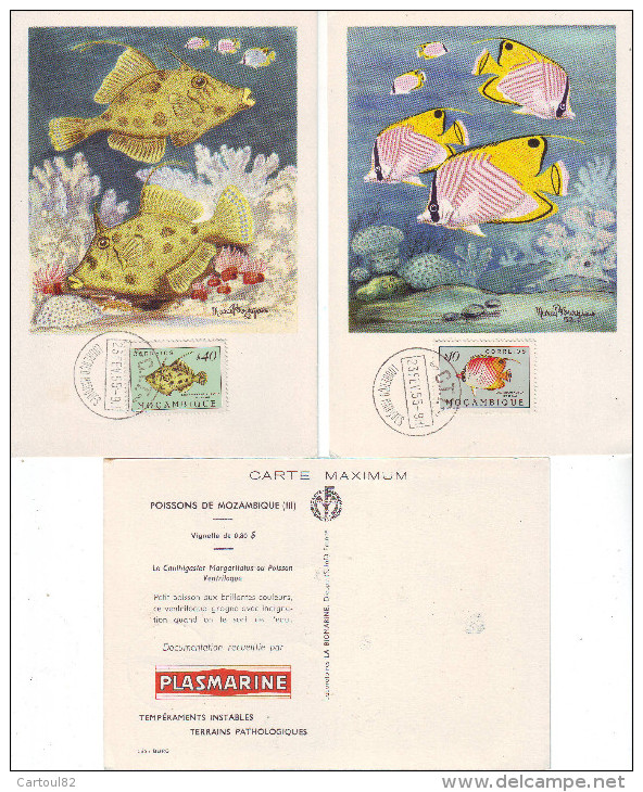 01 B 6 Cartes Poissons Moçambique Sur Support Publicitaire Médicament - Fish & Shellfish