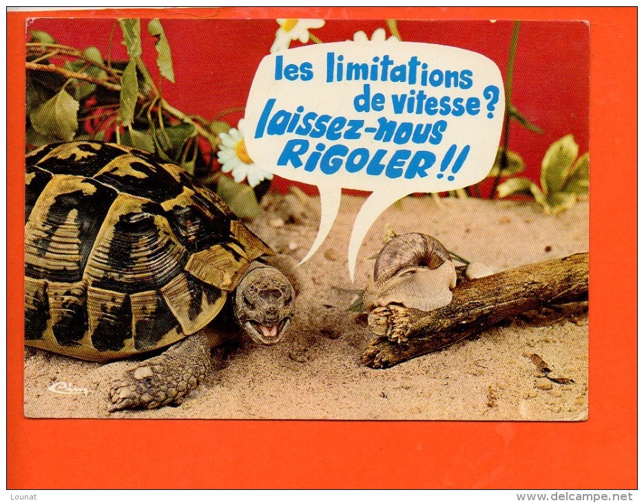 Tortue - Escargot : Les Limitations De Vitesse "Animaux Humoristiques " Année 1973 (écrite, Oblitérée) - Tortugas