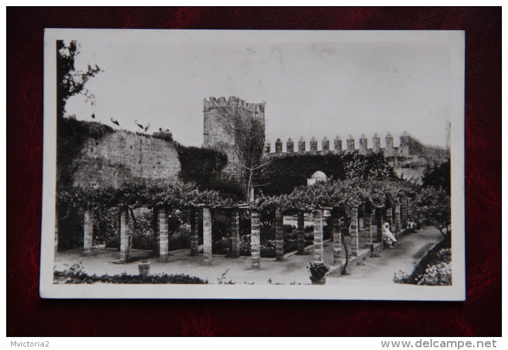 RABAT - Dans Le Jardin Des Oudaias, Bel Affranchissement - Rabat