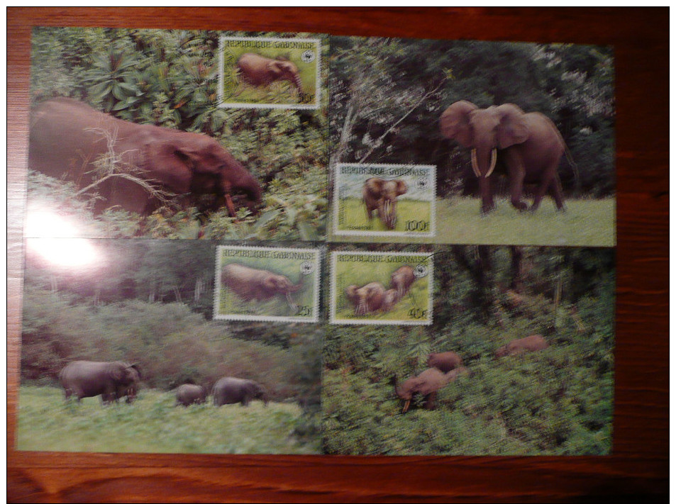 WWF Gabon Gabonaise Forest Elephant Waldelefant 1988 4 CM MK MC Maxi Maximum Cards Carte Maxicard Maximumkarte - Maximumkaarten