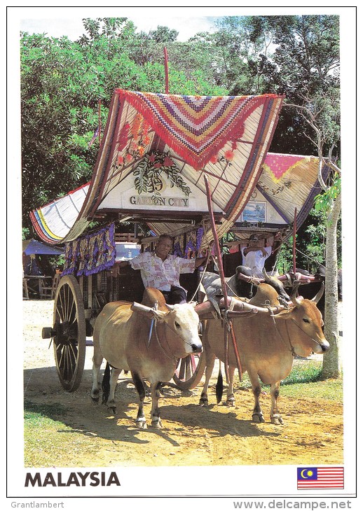 Traditional Bullock Cart, Ayer Kerah, Malacca, Malaysia - Yacine 45608 Unused, 17 X 12 Cm - Malaysia