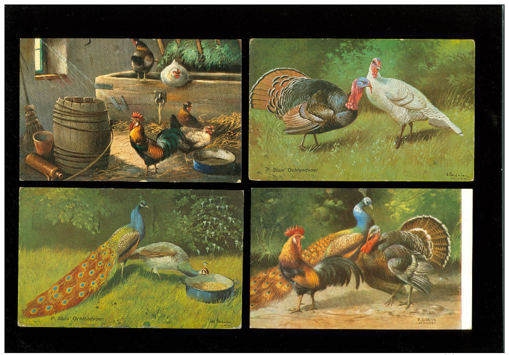 Beau Lot De 20 Cartes Postales De Fantaisie Volaille Poule Coq Dinde  Mooi Lot Van 20 Postkaarten Fantasie Gevogelte Hen - 5 - 99 Postkaarten