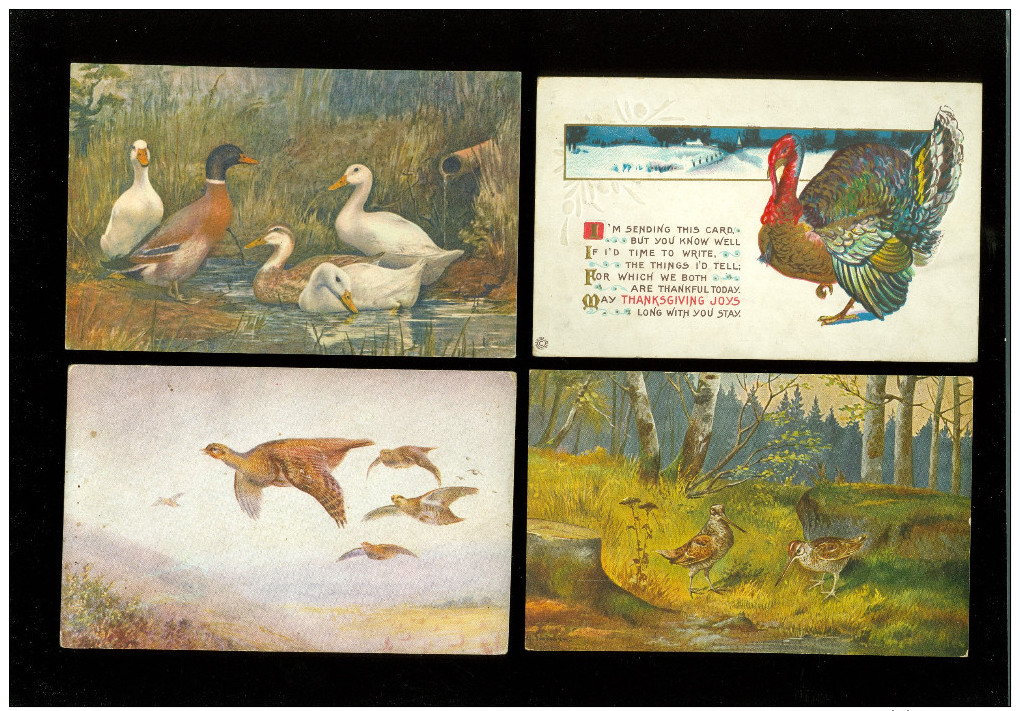 Beau Lot De 20 Cartes Postales De Fantaisie Volaille Poule Coq Dinde  Mooi Lot Van 20 Postkaarten Fantasie Gevogelte Hen - 5 - 99 Postkaarten