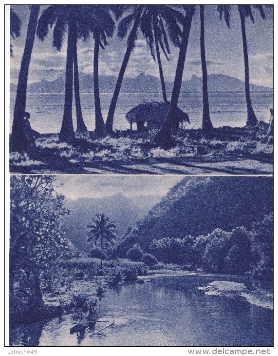 5 CPA MISSION D OCEANIE Constructeur Courrier Indigène Fruit Pandanus  Tahitien Missionnaire  ( Christianisme  Prêtre ) - Oceania