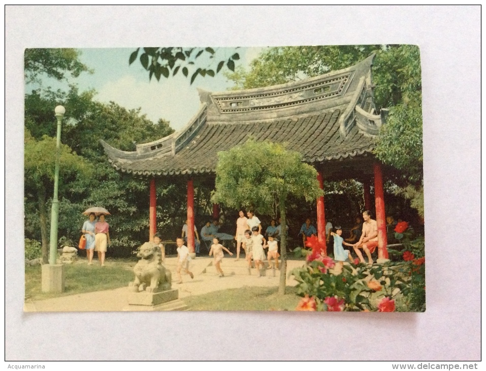 Full Of Life In The Chung-Shan Park (TAIPEI, TAIWAN)  - Cartolina FG NV - Taiwán