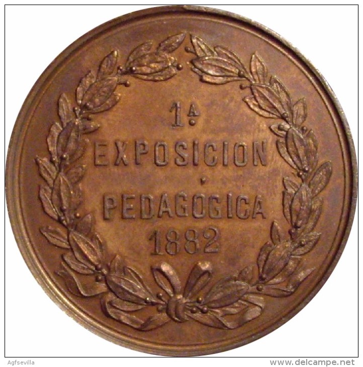 ESPAÑA. MEDALLA 1ª EXPOSICIÓN PEDAGÓGICA. MADRID 1.882. ESPAGNE. SPAIN - Profesionales/De Sociedad