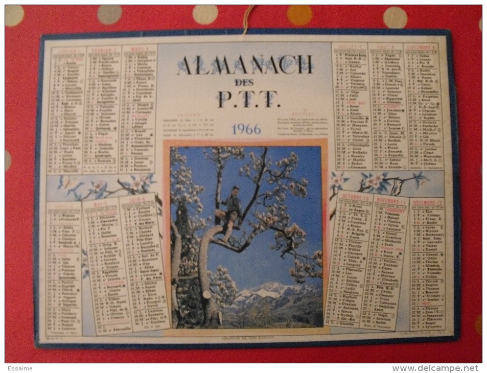 Almanach Des PTT. Mayenne Laval. Calendrier Poste, Postes Télégraphes.1966. Grimpé Dans L'arbre - Big : 1961-70