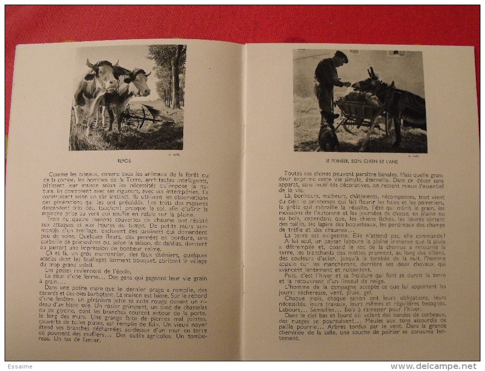 Revue Mieux Vivre. N° 11 De 1937. Photo Photographies. Thème La Ferme. Maurice Vlaminck. Nora Dumas Besson  Noël Wolff - 1900 - 1949