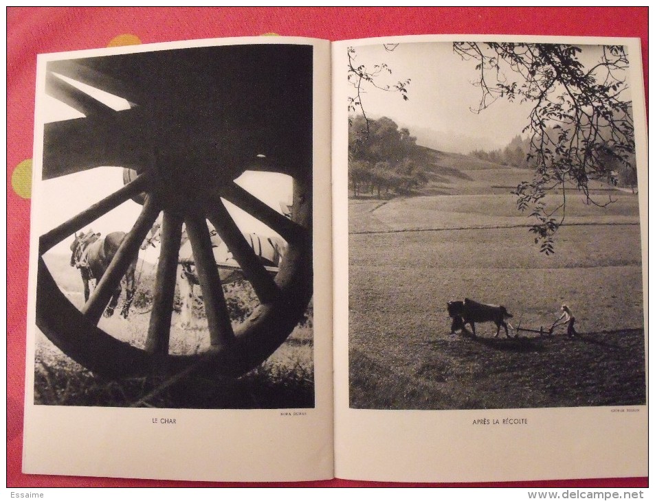 Revue Mieux Vivre. N° 11 De 1937. Photo Photographies. Thème La Ferme. Maurice Vlaminck. Nora Dumas Besson  Noël Wolff - 1900 - 1949