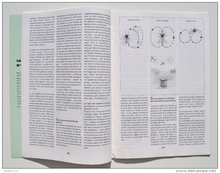 Apiculture / Miel / ABEILLES, BOURDONS & Cie - Patricia Martin, BORZÉE Centre Nature & CGER, 1989 / La Roche-en-Ardenne - Nature