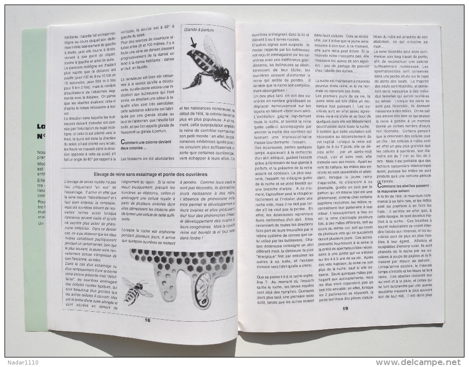 Apiculture / Miel / ABEILLES, BOURDONS & Cie - Patricia Martin, BORZÉE Centre Nature & CGER, 1989 / La Roche-en-Ardenne