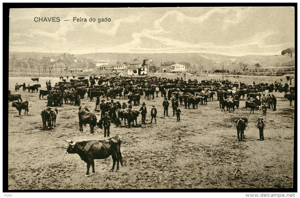 OLD POSTCARD FEIRA DE GADO CHAVES TRAS OS MONTES PORTUGAL CARTE POSTAL - Vila Real