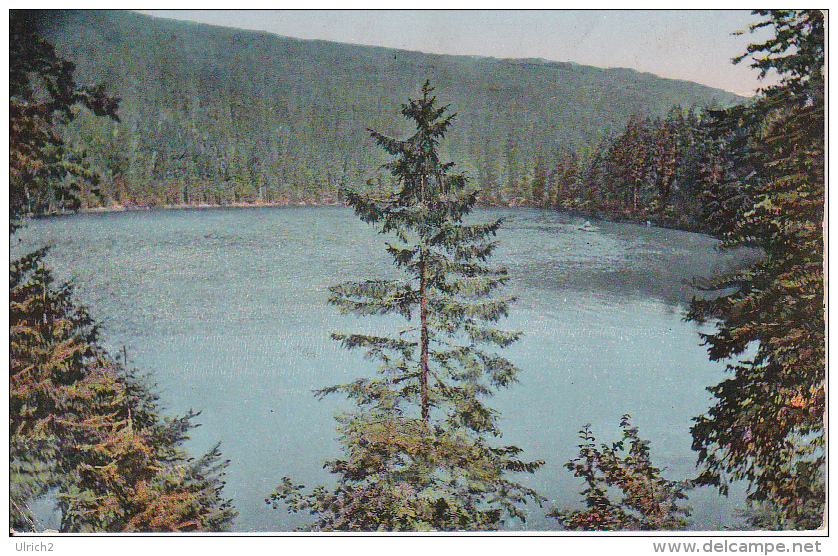 AK Mummelsee - Schwarzwald - 1919 (20025) - Achern