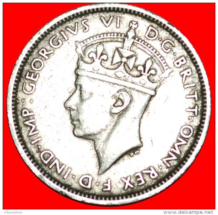 * GREAT BRITAIN: BRITISH WEST AFRICA ★ 3 PENCE 1939KN! GEORGE VI (1937-1952)  LOW START&#9733;NO RESERVE! - Colonies