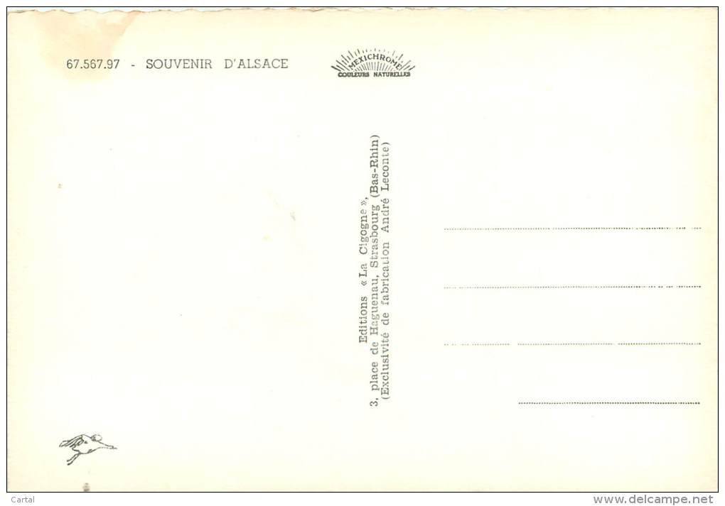 CPM - Souvenir D'Alsace - Alsace