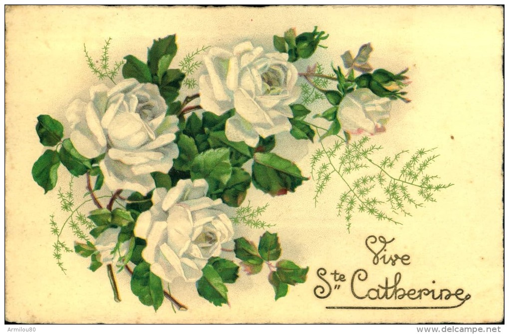 N°951 OOO 316 VIVE SAINTE CATHERINE  ROSES BLANCHES MEISYNER 96 - Santa Catalina