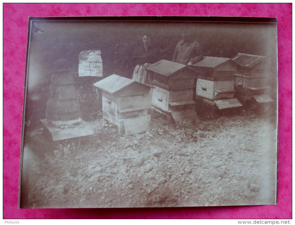 Lot de 4 Photos 08 RAUCOURT anime  Rucher LAGNIER  apiculture, miel, abeilles, Casque??