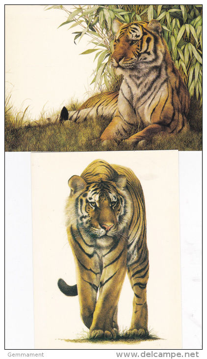 2 TIGER POSTCARDS - Tigers